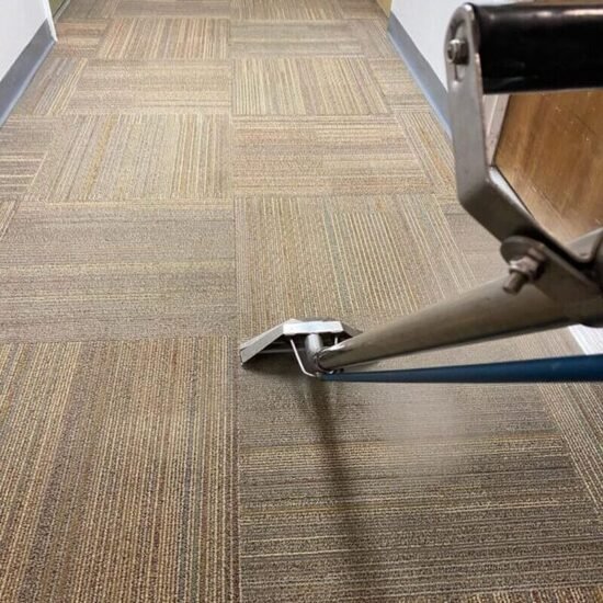 carpet cleaner near me