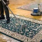 area rug cleaning service