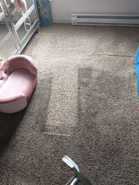 carpet cleaner near me