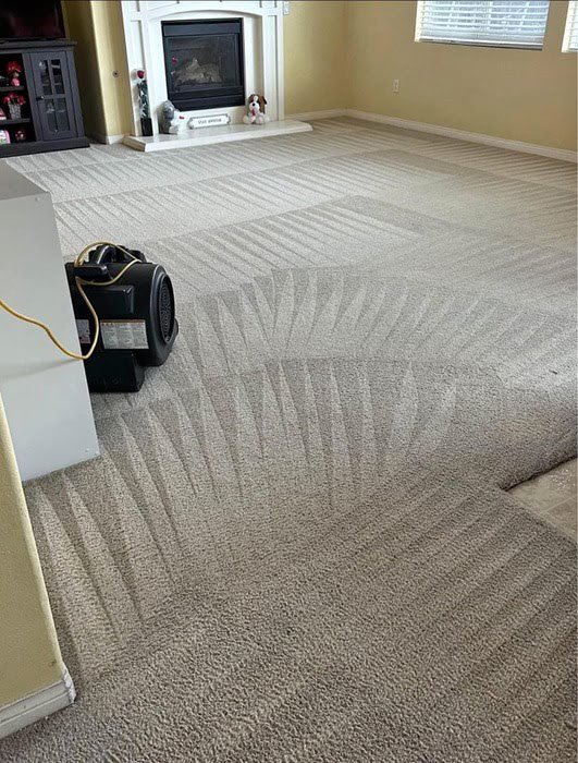 carpet cleaning bakersfield